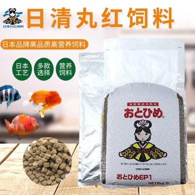 大湖紅龍魚能長多大(怎么養(yǎng)出大寬體紅龍魚)