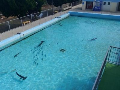 水族館掙錢嗎（水族館教育、娛樂和教育、娛樂和教育、娛樂和教育公眾的挑戰）