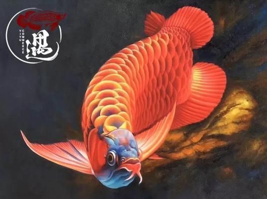 詳細(xì)閱讀:大湖紅龍發(fā)色最簡(jiǎn)單三個(gè)步驟:大湖紅龍發(fā)色日常護(hù)理 大湖紅龍發(fā)色最簡(jiǎn)單三個(gè)步驟:大湖紅龍發(fā)色日常護(hù)理