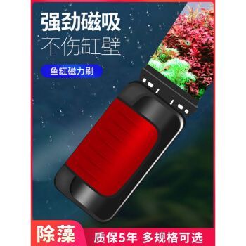 唐寵魚缸，唐寵魚缸清潔技巧