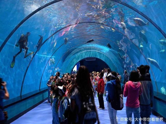水族館屬于什么行業(yè)（2021-2026年中國(guó)水族館行業(yè)投資回報(bào)率分析）