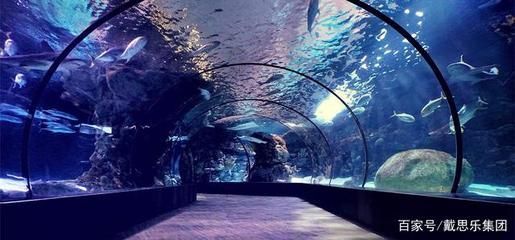 水族館屬于什么行業(yè)（2021-2026年中國(guó)水族館行業(yè)投資回報(bào)率分析）