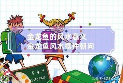 金龍魚擺件與其他吉祥物比較：金龍魚擺件與其他吉祥物相比具有獨特的寓意和寓意