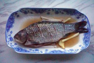 黃金貓與龍魚混養(yǎng)怎么樣啊視頻(黃金龍鳳和金魚能混養(yǎng)嗎)