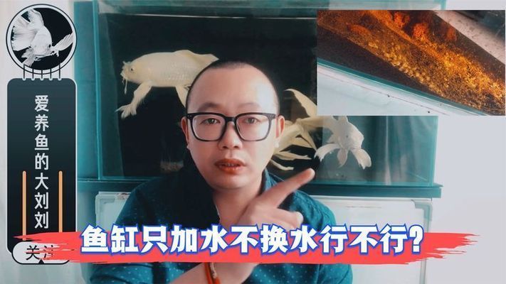 魚缸可以不換水一直加水嗎視頻，如何建立和維護魚缸水質檢測方法 魚缸可以不換水一直加水嗎視頻，如何建立和維護魚缸水質檢測方法 魚缸百科 第5張