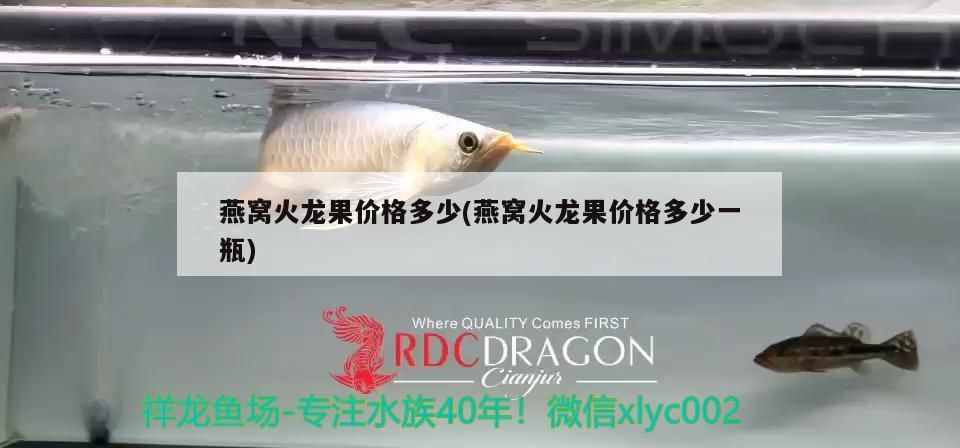 內江魚缸批發電話號碼查詢網（ 內江魚缸批發電話號碼查詢網）