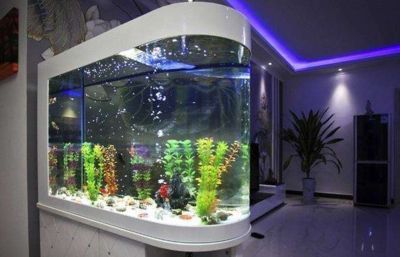 開家水族館需要多少錢一個(gè)月呢（開一家水族館需要多少錢）