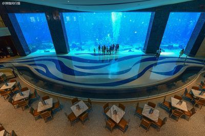 投資一家水族館需要多少錢（開一家水族館的成本是多少？） 投資一家水族館需要多少錢（開一家水族館的成本是多少？） 水族館百科（水族館加盟） 第4張