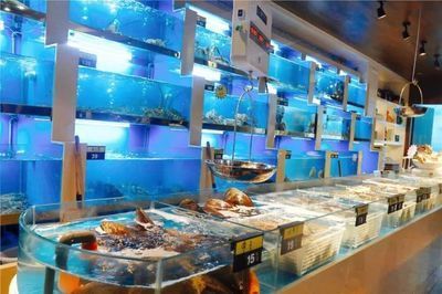 投資一家水族館需要多少錢（開一家水族館的成本是多少？） 投資一家水族館需要多少錢（開一家水族館的成本是多少？） 水族館百科（水族館加盟） 第6張