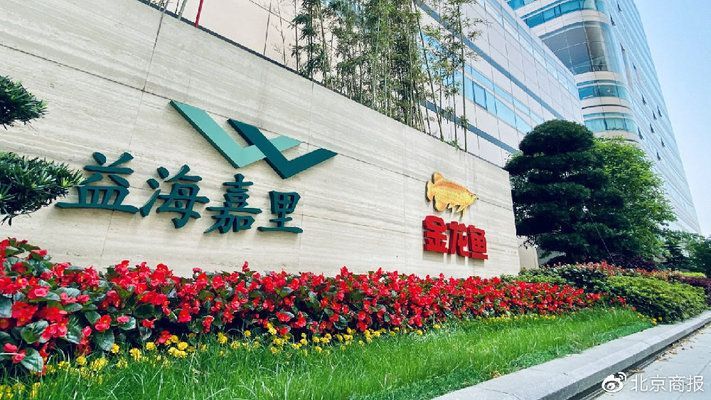 金龍魚(yú)原材料采購(gòu)策略：金龍魚(yú)原材料采購(gòu)策略在確保公司成本控制和產(chǎn)品質(zhì)量方面起著作用