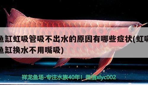 魚缸虹吸管吸不出水的原因有哪些癥狀(虹吸魚缸換水不用嘴吸) 魚缸虹吸管吸不出水的原因有哪些癥狀(虹吸魚缸換水不用嘴吸) 錦鯉魚百科 第2張