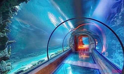 開個(gè)水族館的艱難之旅英語(yǔ)作文（thedifficultjourneyoffounding）