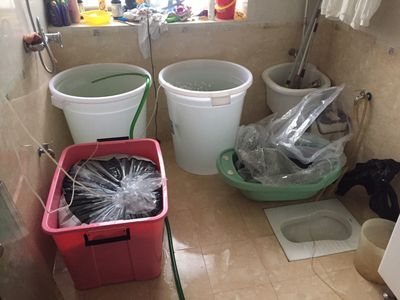 魟魚可以直接換自來水嗎為什么：魟魚可以直接換自來水嗎