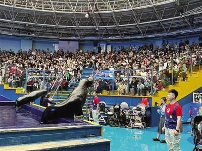 水族館館長收入（水族館館長的收入受多種因素影響水族館館長的收入受多種影響）