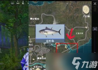 水族館都是在哪里拿魚（關(guān)于水族館中魚的來源問題） 水族館都是在哪里拿魚（關(guān)于水族館中魚的來源問題） 水族館百科（水族館加盟） 第5張