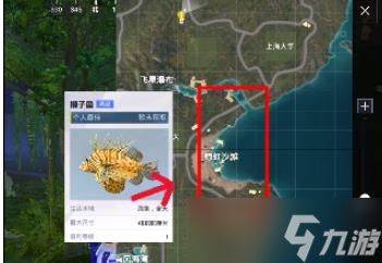 水族館都是在哪里拿魚（關(guān)于水族館中魚的來源問題） 水族館都是在哪里拿魚（關(guān)于水族館中魚的來源問題） 水族館百科（水族館加盟） 第6張