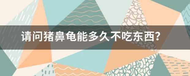 豬鼻龜多久會餓死：豬鼻龜換地方不吃食能餓死嗎