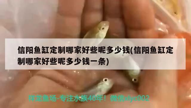 許昌哪里有賣魚缸的地方呀圖片(許昌哪里有批發魚的) 許昌哪里有賣魚缸的地方呀圖片(許昌哪里有批發魚的) 錦鯉魚百科 第2張