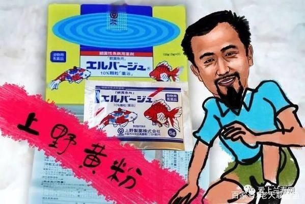 黃金貓魚爛鰓病的自然療法（黃金貓魚爛鰓病的自然療法包括使用富氯或二溴海因全池潑灑） 黃金貓魚爛鰓病的自然療法（黃金貓魚爛鰓病的自然療法包括使用富氯或二溴海因全池潑灑） 黃金貓魚百科 第5張