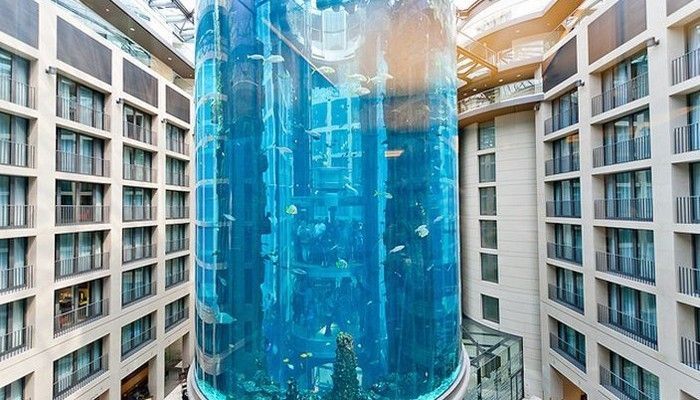 適合水族館的名字有哪些（水族館命名的市場競爭力分析） 適合水族館的名字有哪些（水族館命名的市場競爭力分析） 水族館百科（水族館加盟） 第5張