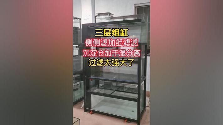 水族館組缸圖（水族館中缸組圖的設(shè)計(jì)和制作方法）