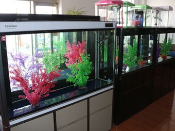 森森魚缸售后網點查詢，森森魚缸售后服務中心地址如何聯系森森魚缸售后服務中心地址 森森魚缸售后網點查詢，森森魚缸售后服務中心地址如何聯系森森魚缸售后服務中心地址 魚缸百科 第4張