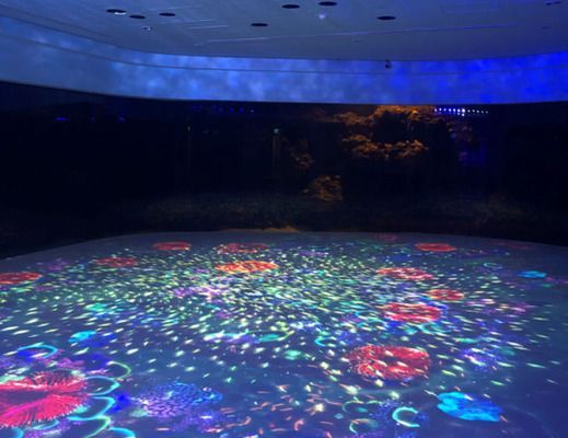 水族館起個什么名字好（水族館起名思路與推薦）