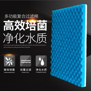 祥龍水族濾材適用場景案例:祥龍水族濾材在家庭水族箱中的應(yīng)用 水族館百科(水族館加盟) 第7張 祥龍水族濾材適用場景案例:祥龍水族濾材在家庭水族箱中的應(yīng)用 祥龍水族濾材適用場景案例:祥龍水族濾材在家庭水族箱中的應(yīng)用 水族館百科(水族館加盟) 第7張