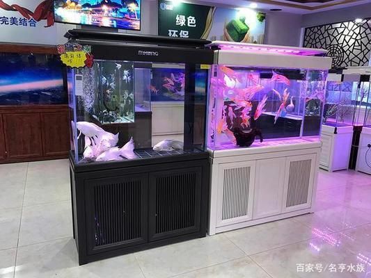 開一家水族館能掙錢嗎現在（開一家水族館是否能掙錢取決于多種因素提供個性化服務） 開一家水族館能掙錢嗎現在（開一家水族館是否能掙錢取決于多種因素提供個性化服務） 水族館百科（水族館加盟） 第2張
