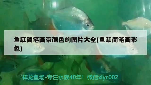 魚(yú)缸簡(jiǎn)筆畫(huà)帶顏色的圖片大全(魚(yú)缸簡(jiǎn)筆畫(huà)彩色) 魚(yú)缸簡(jiǎn)筆畫(huà)帶顏色的圖片大全(魚(yú)缸簡(jiǎn)筆畫(huà)彩色) 黃金貓魚(yú)百科 第3張