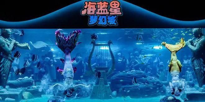 水族館門票多少錢一張（上海海洋水族館門票價格）