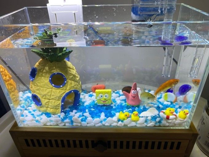 玉洋軒魚缸，玉洋軒魚缸怎么樣，玉洋軒魚缸價格
