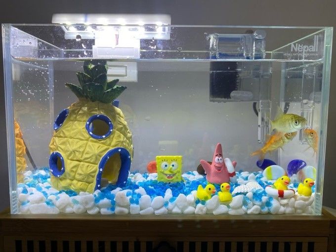 玉洋軒魚缸，玉洋軒魚缸怎么樣，玉洋軒魚缸價格