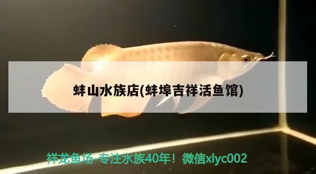 蚌山水族店(蚌埠吉祥活魚館)