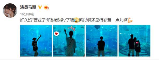 水族館配文（上海海洋水族館特色展覽）