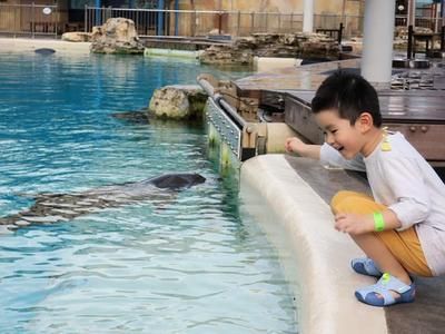 水族館配文（上海海洋水族館特色展覽）