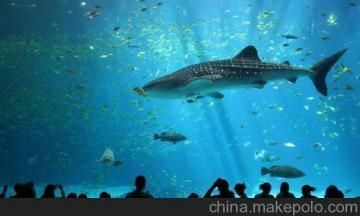 水族館制作廠家地址在哪里（水族館制作廠家）