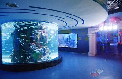 水族館里面有什么介紹（上海海洋水族館如何模擬自然環(huán)境水族館的教育活動） 水族館里面有什么介紹（上海海洋水族館如何模擬自然環(huán)境水族館的教育活動） 水族館百科（水族館加盟） 第4張