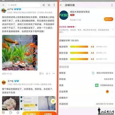魚缸旁邊放什么擺件（魚缸旁邊擺什么好）