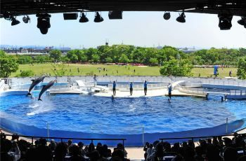 水族館官網購票流程：上海海洋水族館官網購票流程 水族館官網購票流程：上海海洋水族館官網購票流程 水族館百科（水族館加盟） 第6張