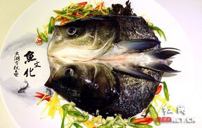 大湖魚是什么魚：大湖魚是一類生活在北美大型湖泊中的魚類，大湖魚的營養(yǎng)價(jià)值
