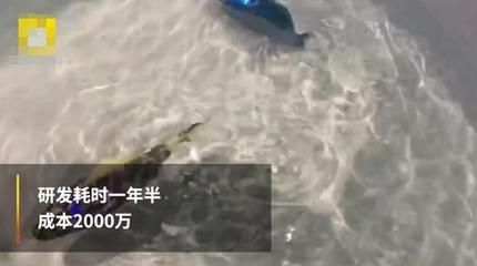 水族館工作需要什么證(水族師資格認證考試內容,潛水證培訓課程介紹) 水族館百科(水族館加盟) 第4張 水族館工作需要什么證(水族師資格認證考試內容,潛水證培訓課程介紹) 水族館工作需要什么證(水族師資格認證考試內容,潛水證培訓課程介紹) 水族館百科(水族館加盟) 第4張