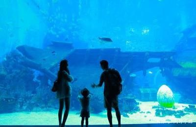 水族館工作需要什么證(水族師資格認證考試內容,潛水證培訓課程介紹) 水族館百科(水族館加盟) 第6張 水族館工作需要什么證(水族師資格認證考試內容,潛水證培訓課程介紹) 水族館工作需要什么證(水族師資格認證考試內容,潛水證培訓課程介紹) 水族館百科(水族館加盟) 第6張