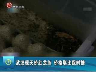 天價紅龍魚500萬是真的嗎：天價紅龍魚市場價格波動趨勢如何鑒別高品質紅龍魚 天價紅龍魚500萬是真的嗎：天價紅龍魚市場價格波動趨勢如何鑒別高品質紅龍魚 紅龍魚百科 第6張