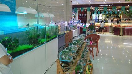 水族館加盟找祥龍魚場怎么樣（全球首個龍魚繁殖場——祥龍魚場）