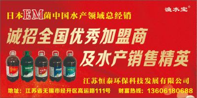 龍魚吃什么小魚最好養 龍魚百科 第3張 龍魚吃什么小魚最好養 龍魚吃什么小魚最好養 龍魚百科 第3張