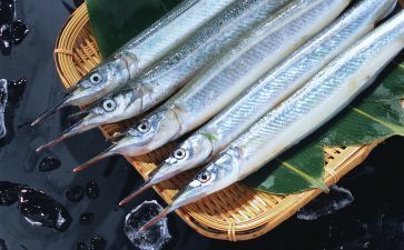 白子魟魚多少錢一條：白子魟魚多少錢一條白子魟魚多少錢一條白子魟魚價(jià)格