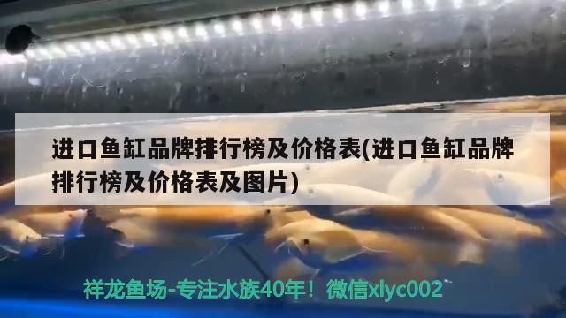 進(jìn)口魚缸品牌排行榜及價(jià)格表(進(jìn)口魚缸品牌排行榜及價(jià)格表及圖片)