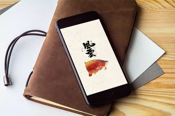 龍魚高清手機壁紙，龍魚高清手機壁紙制作