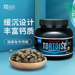 豬鼻龜養(yǎng)多久成年可以吃飼料